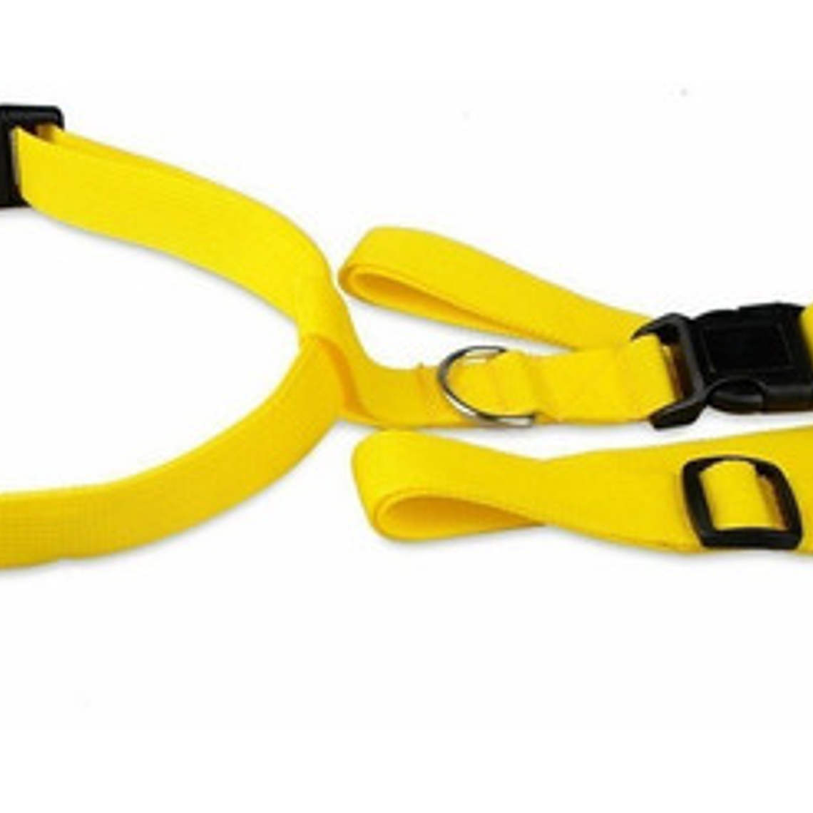 Cinturón Correa Para Correr Con Tu Perro Running Santiago 21