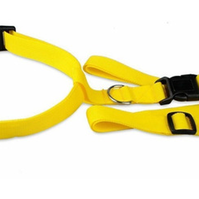 Cinturón Correa Para Correr Con Tu Perro Running Santiago 21