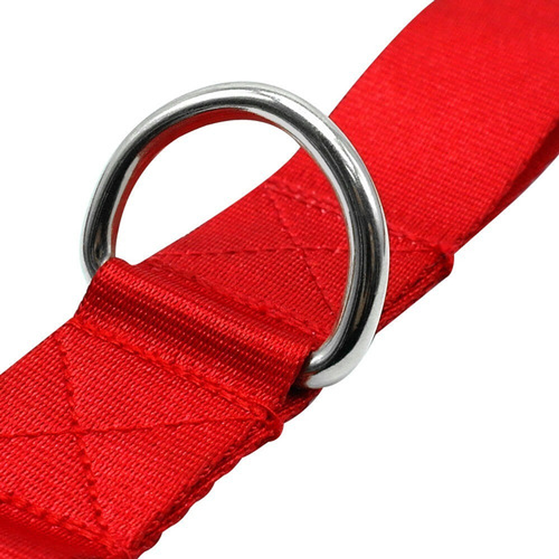 Cinturón Correa Para Correr Con Tu Perro Running Santiago 32