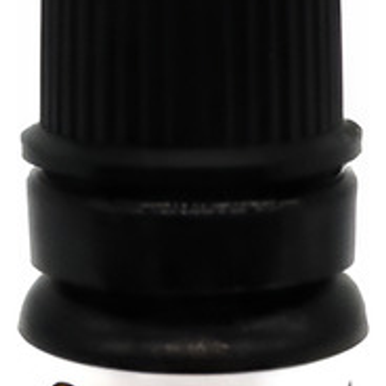 Adhesivo One Coat Bond Sl 5ml Coltene Dental Santiago 1