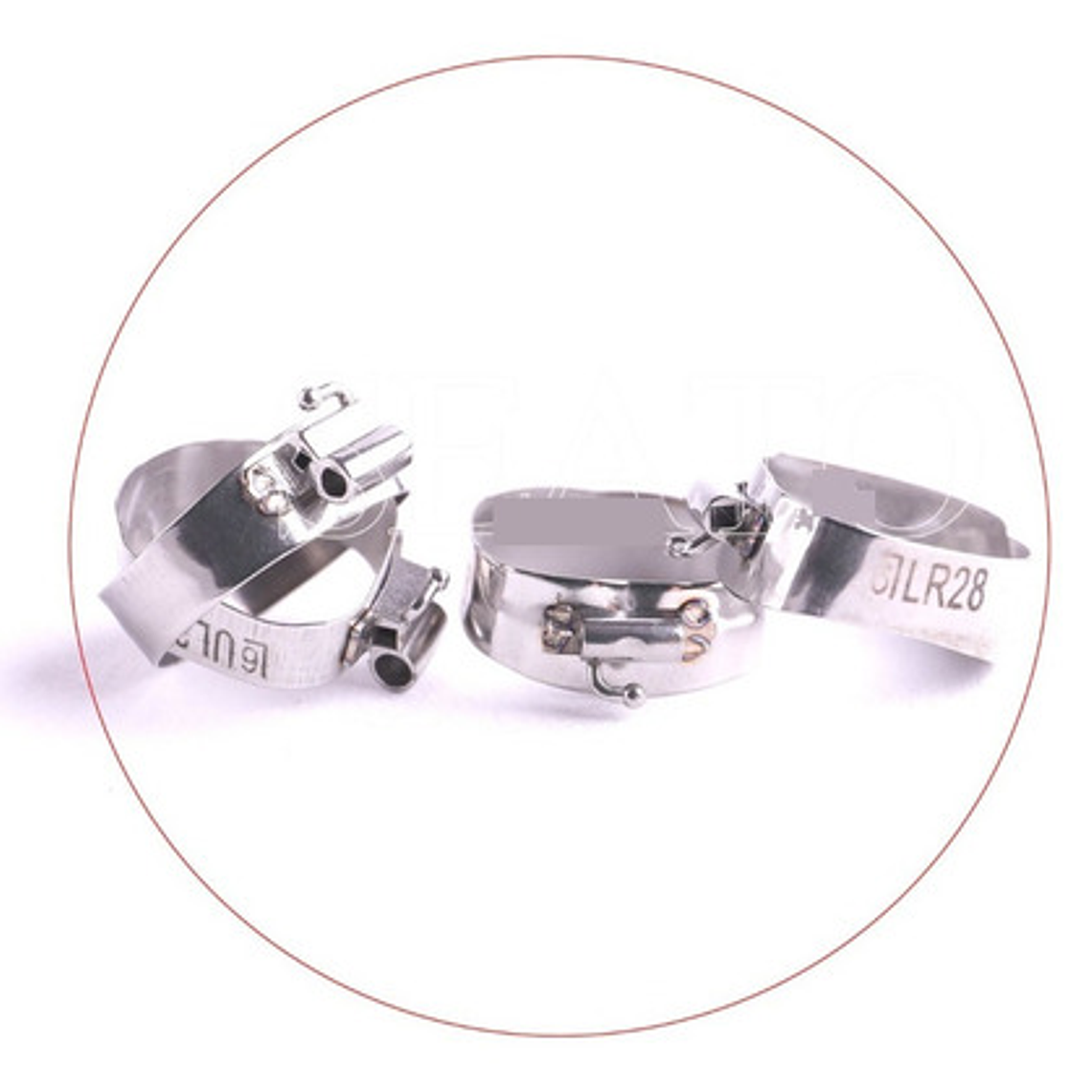 Set Xl 80 Bandas Molares Con Tubo Medias Ortodoncia Santiago 13