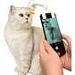 Palo Selfie Para Mascotas Perro Gato Novedad - Miniatura 1