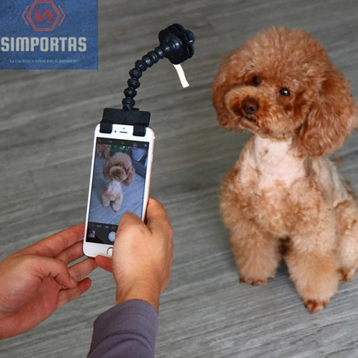 Palo Selfie Para Mascotas Perro Gato Novedad 2