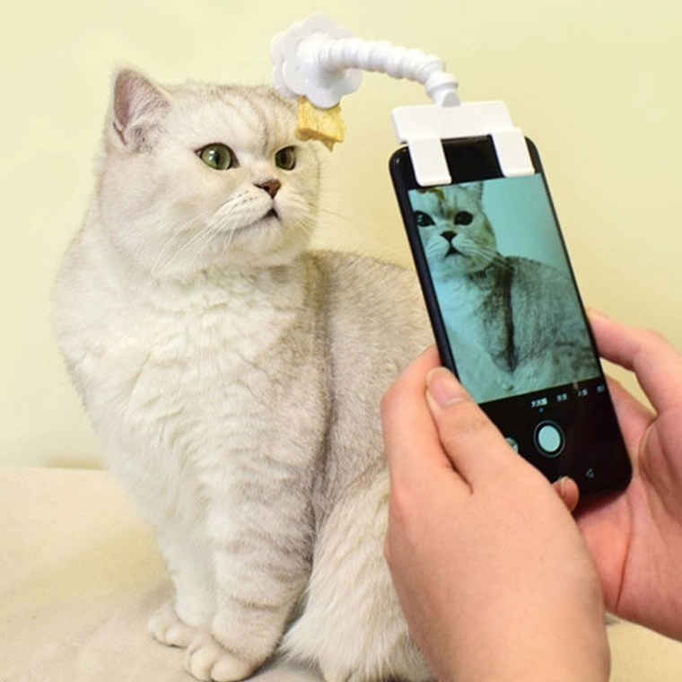 Palo Selfie Para Mascotas Perro Gato Novedad 5