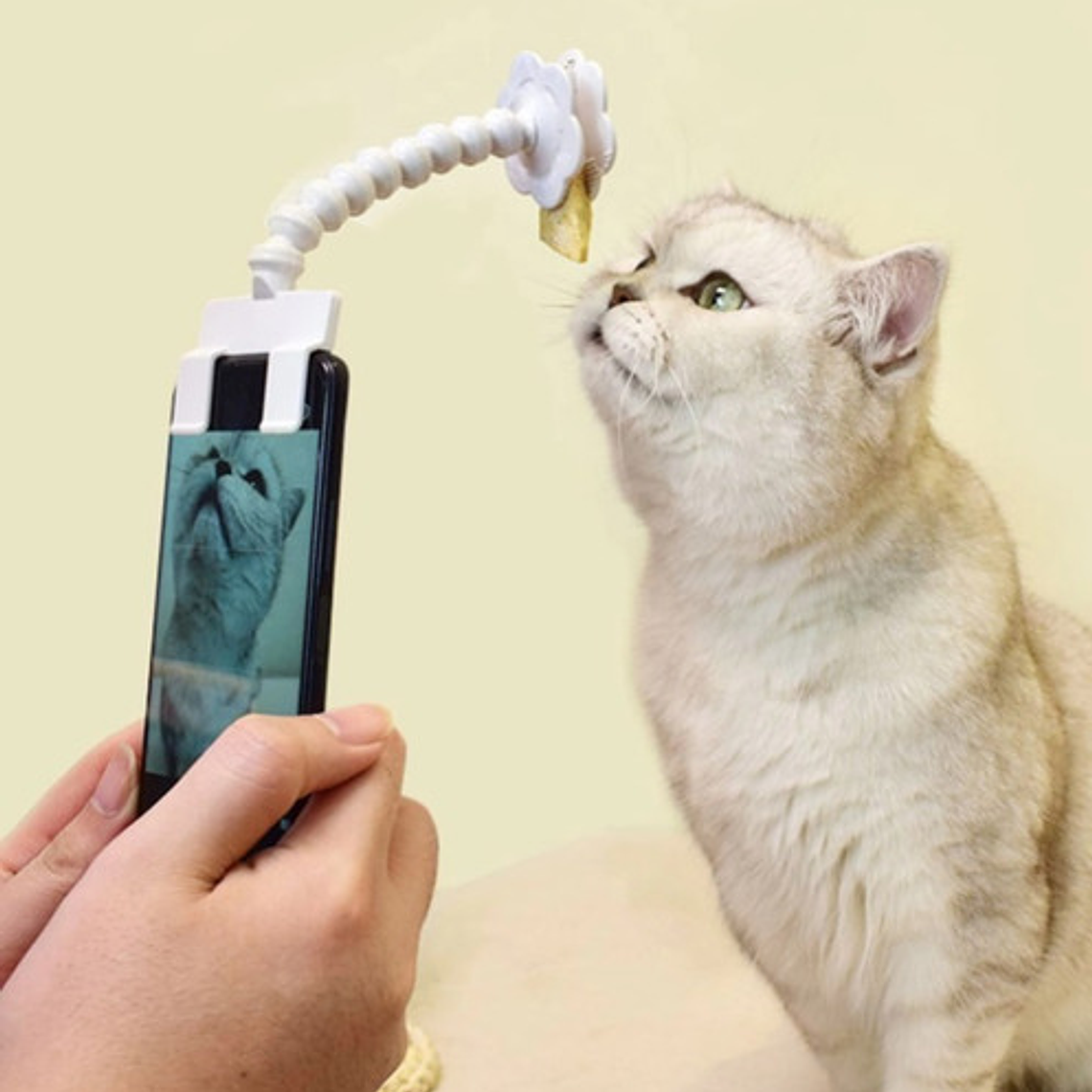 Palo Selfie Para Mascotas Perro Gato Novedad 6