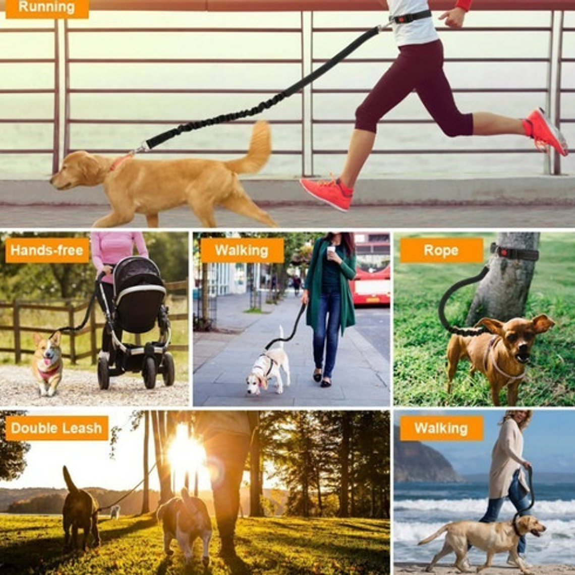 Cinturón Correa Resistente Correr Con Tu Perro Doble Gancho  5