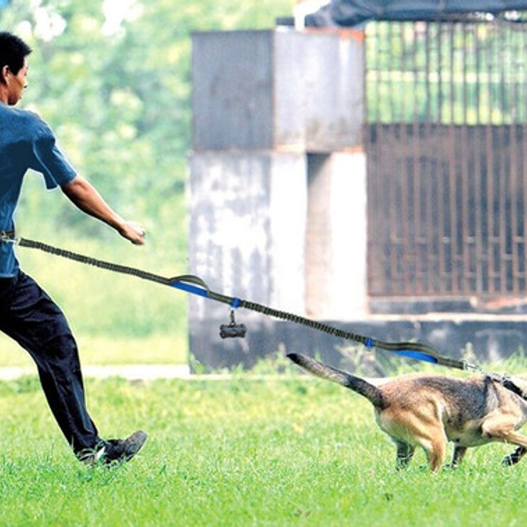 Cinturón Correa Resistente Correr Con Tu Perro Doble Gancho  7