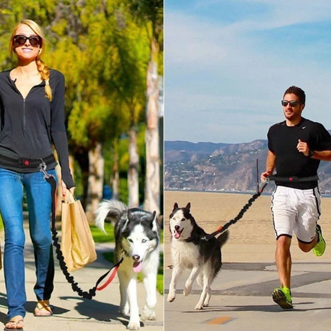 Cinturón Correa Resistente Correr Con Tu Perro Doble Gancho  13