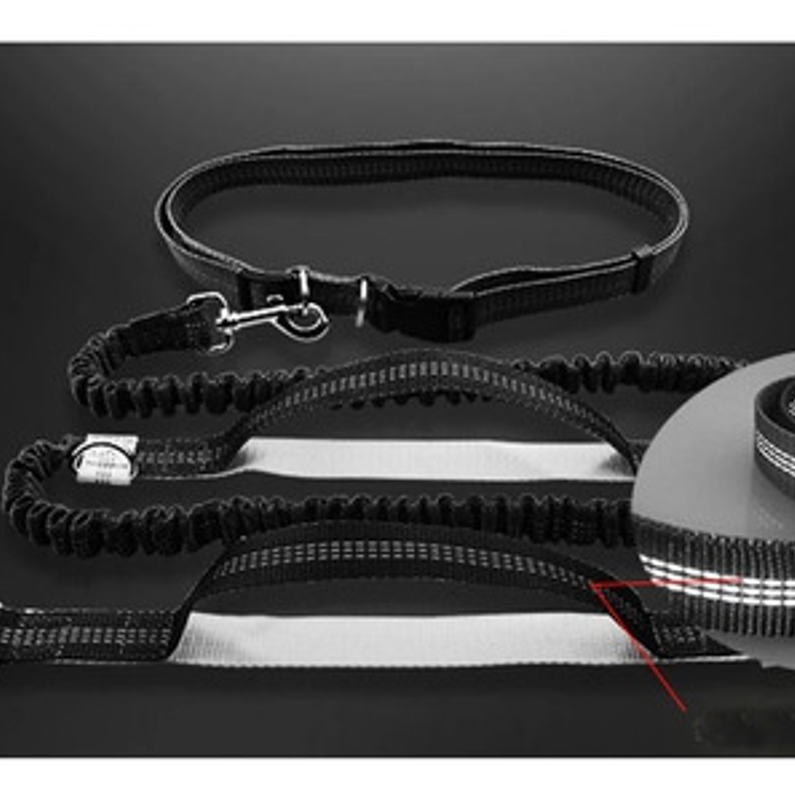 Cinturón Correa Resistente Correr Con Tu Perro Doble Gancho  14