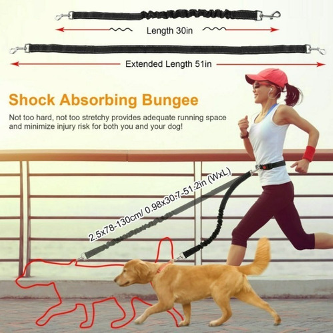Cinturón Correa Resistente Correr Con Tu Perro Doble Gancho  19