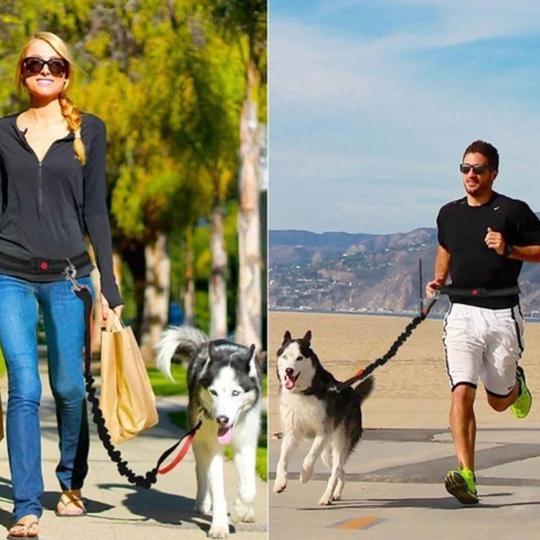 Cinturón Correa Resistente Correr Con Tu Perro Doble Gancho  23