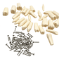 Dientes Para Modelo Frasaco Tipodonto 32 Piezas Desmontables - Miniatura 1