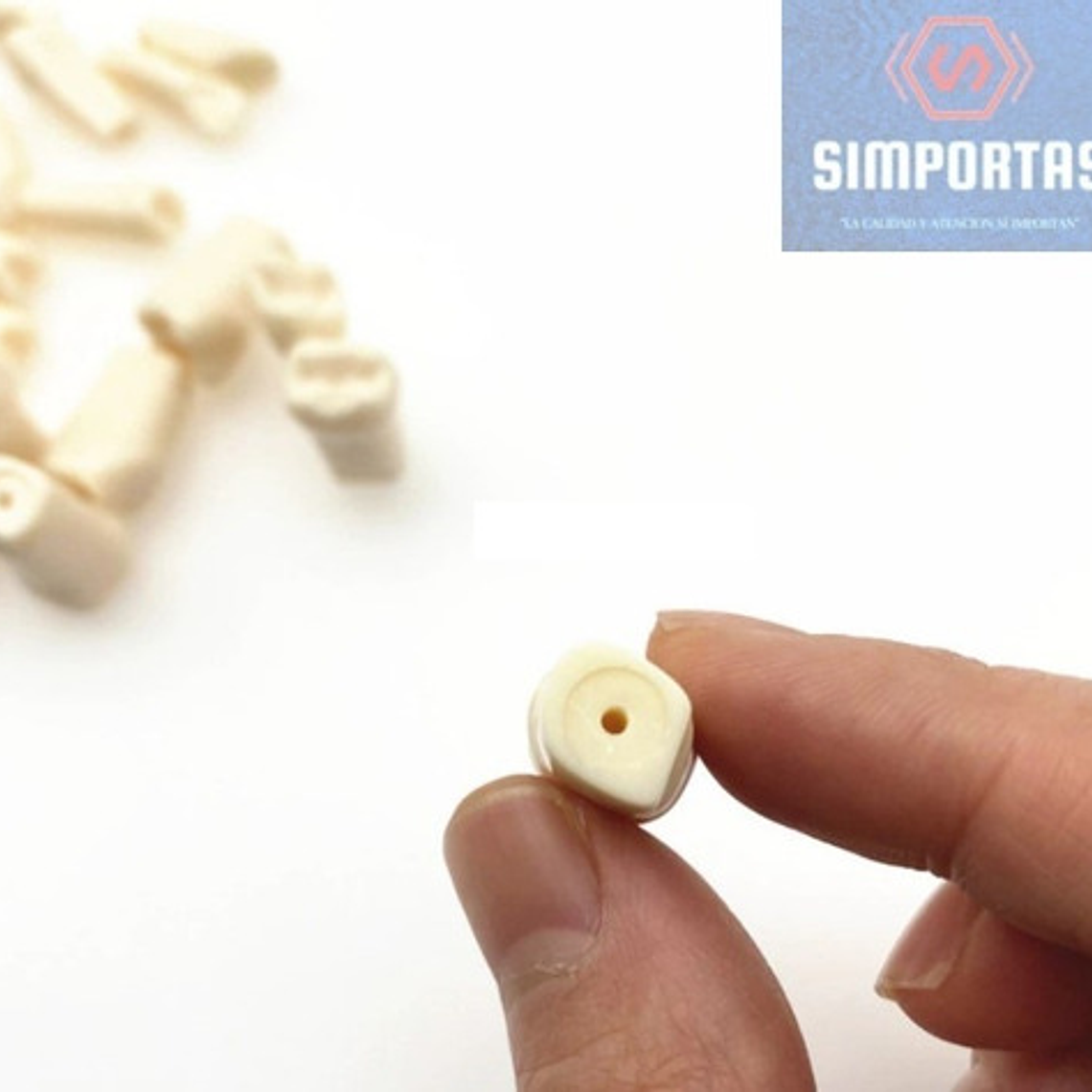 Dientes Para Modelo Frasaco Tipodonto 32 Piezas Desmontables 4