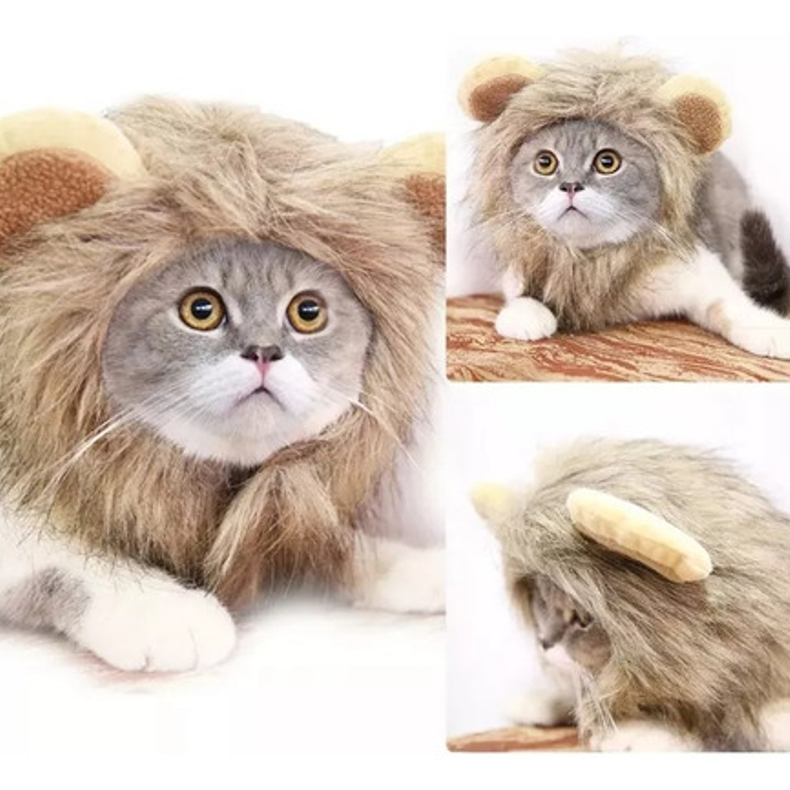 Peluca De León Para Gatitos Diversión Asegurada Santiago 1