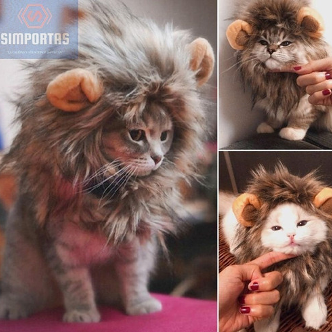 Peluca De León Para Gatitos Diversión Asegurada Santiago 2