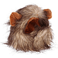 Peluca De León Para Gatitos Diversión Asegurada Santiago - Miniatura 7