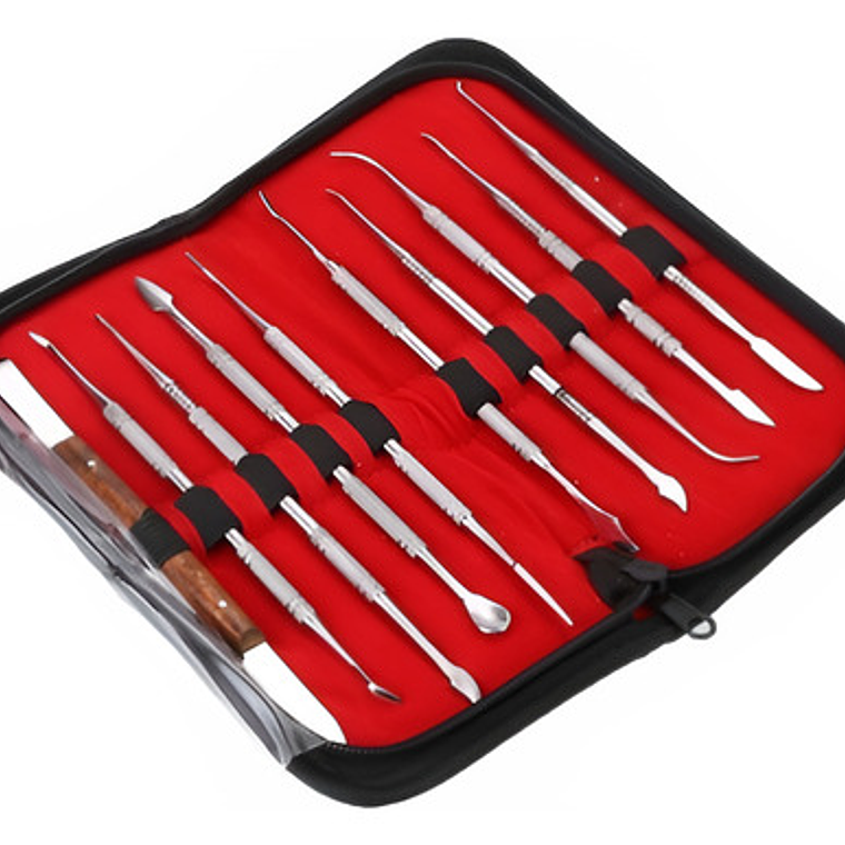 Set Espátulas Tallado Dental Laboratorio 10u Estuche Stgo. 1