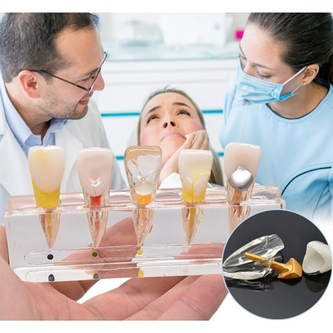 Modelo Endodoncia Dental Acrílico Enseñanza Didáctico Stgo. 2