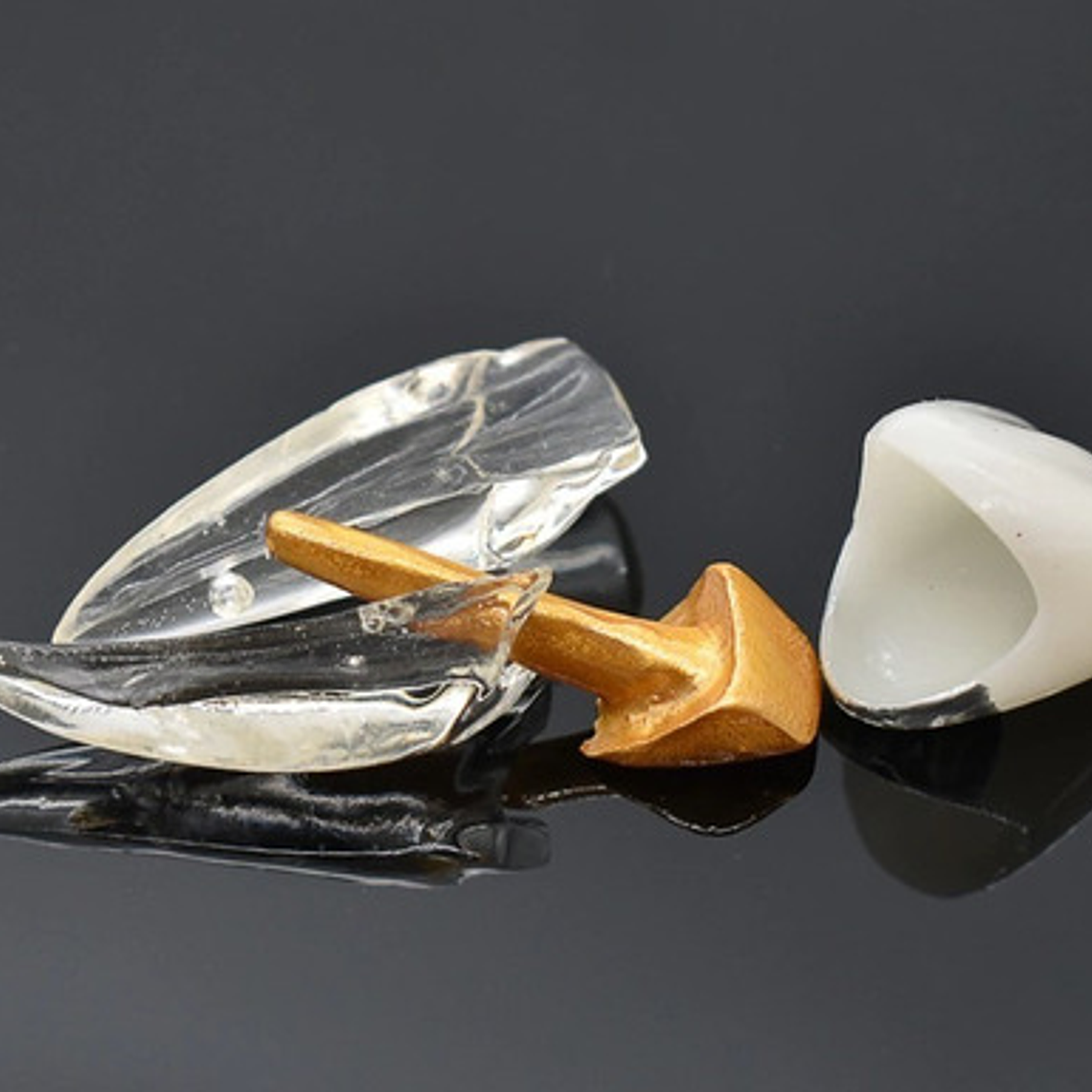 Modelo Endodoncia Dental Acrílico Enseñanza Didáctico Stgo. 7