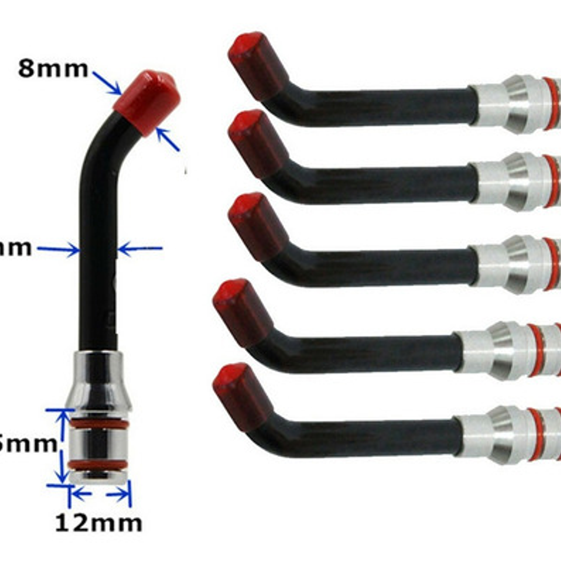 Fibra Optica Dental Lampara Fotocurado Medidas Santiago 8