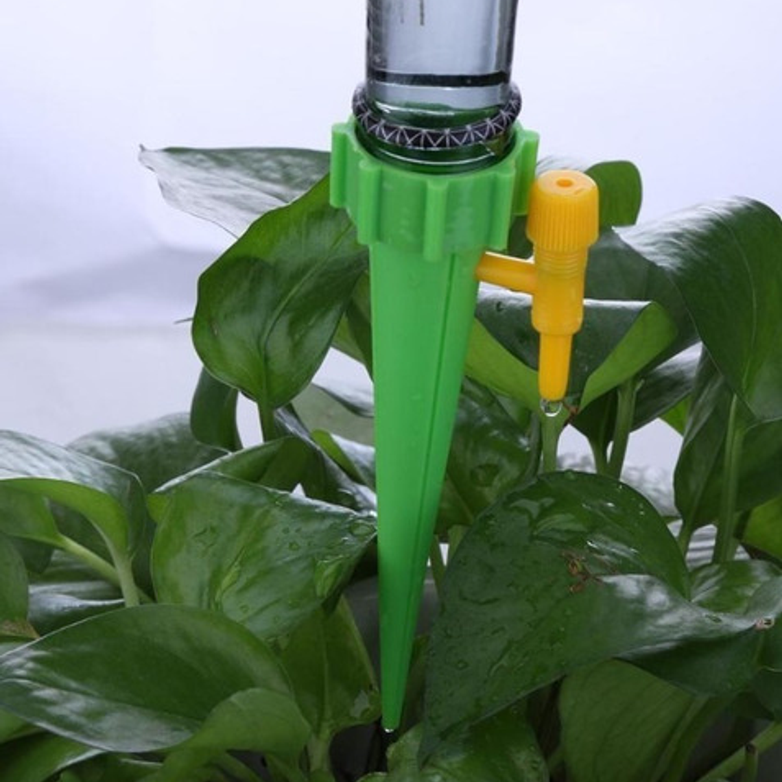 Estaca Riego Por Goteo Cultivo Plantas Unidad Santiago 4