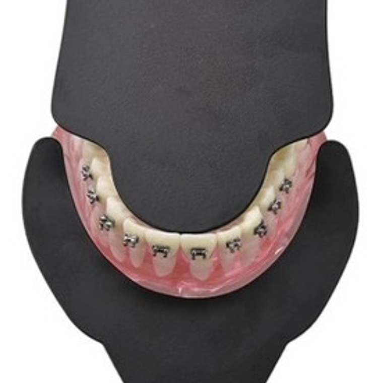 Kit Contraste Fotografía Dental 6unidades Envío Gratis Stgo. 2