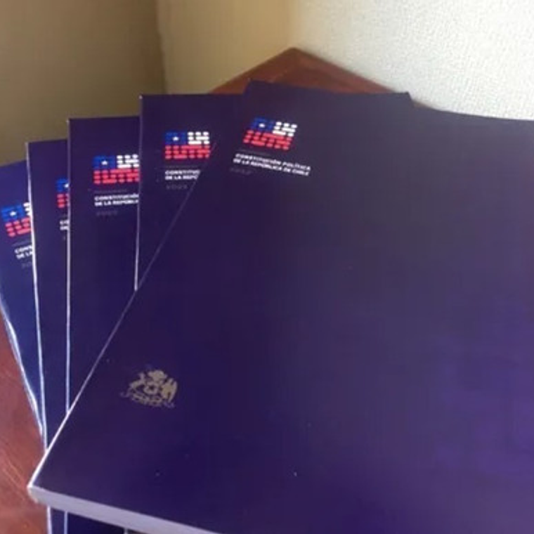 Propuesta Nueva Constitución Libro Final A Votar + Regalos 3