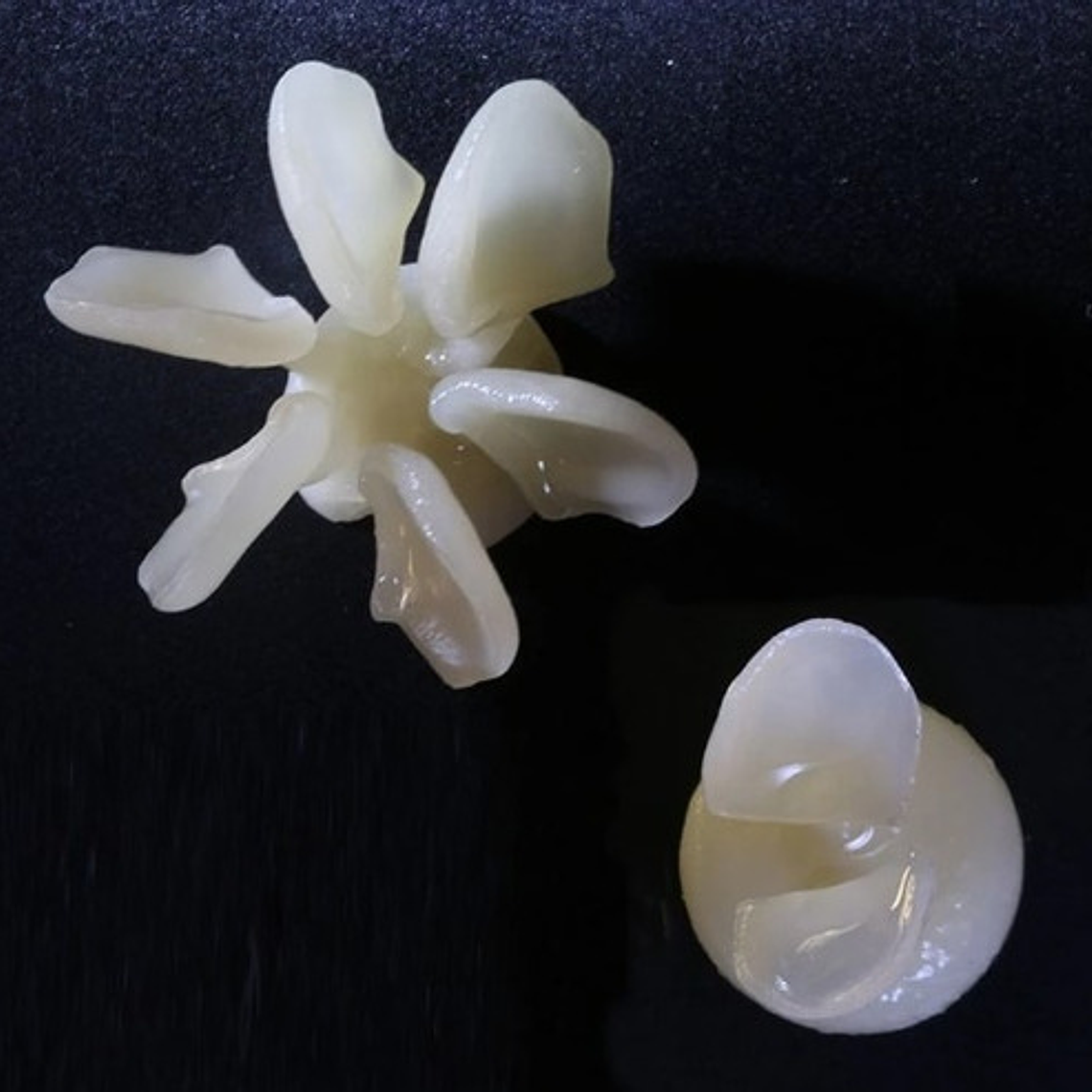 Bloque Disilicato De Litio Restauraciones Dentales Calidad 10