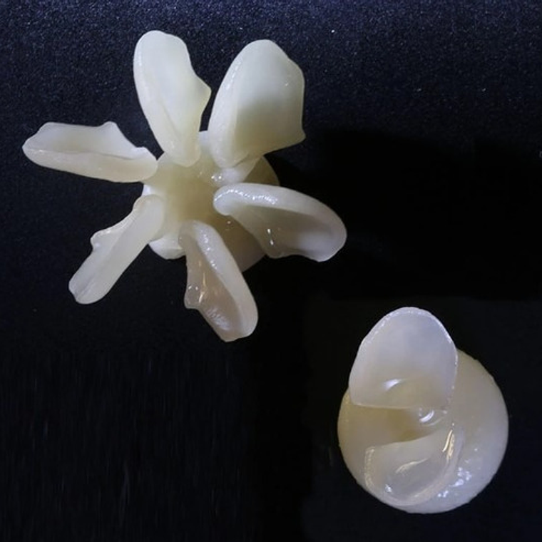 Bloque Disilicato De Litio Restauraciones Dentales Calidad 10