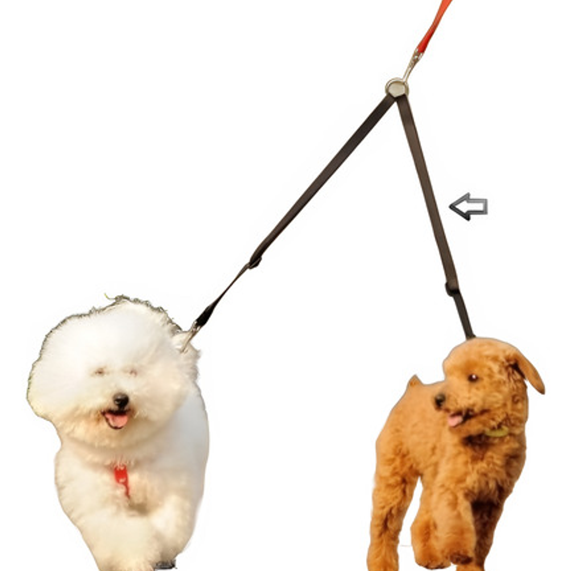 Correa Doble Para Perro Paseos Calidad Santiago 20