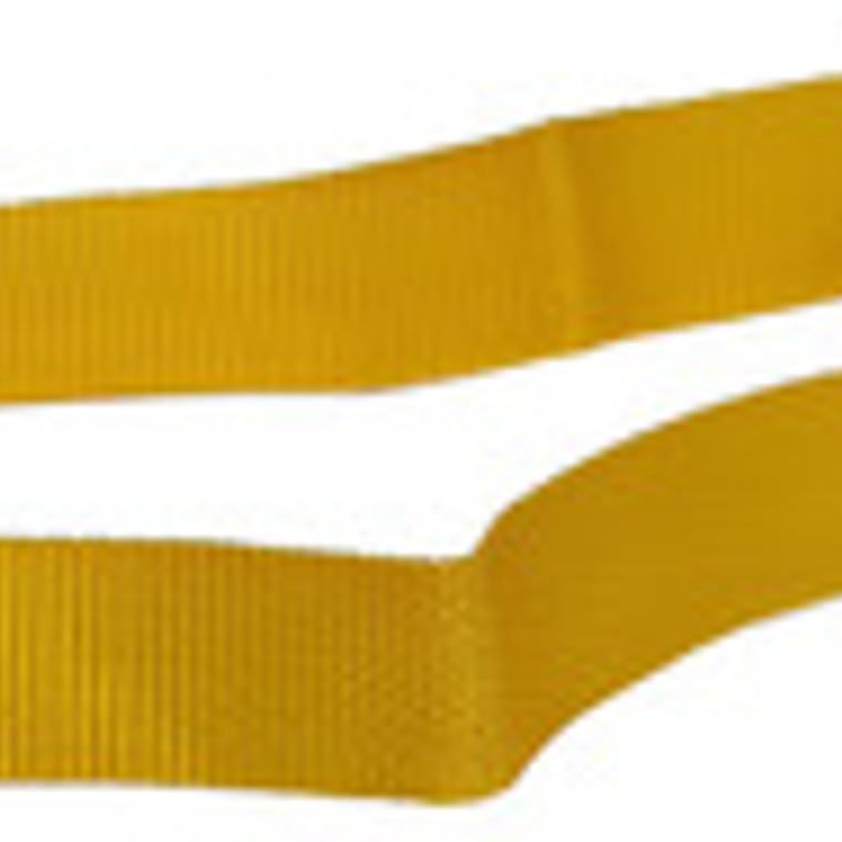 Correa Doble Para Perro Paseos Calidad Santiago 50