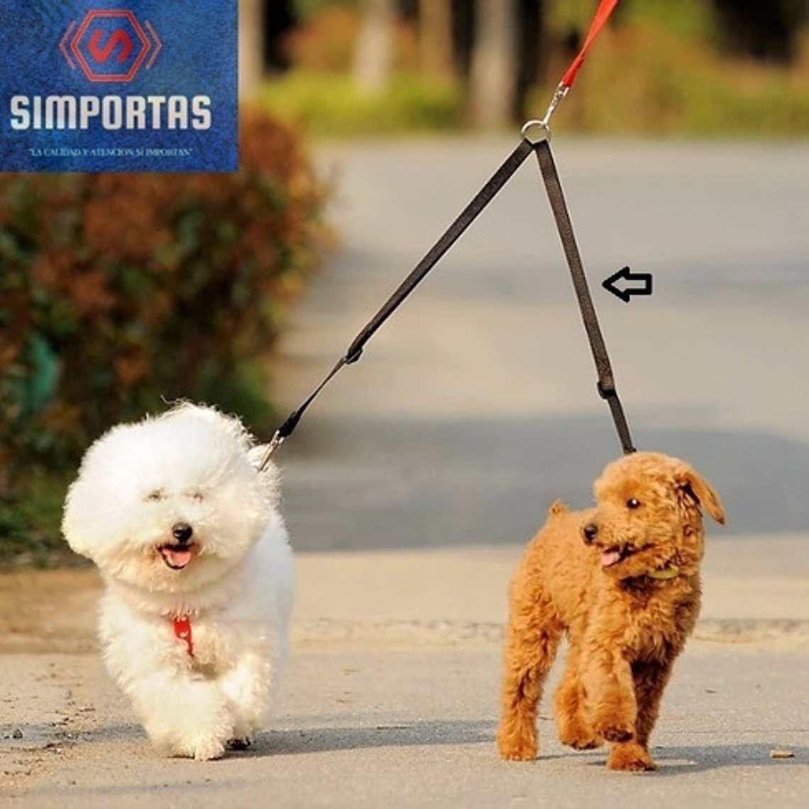 Correa Doble Para Perro Paseos Calidad Santiago 57
