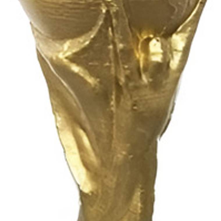 Copa Del Mundo Trofeo 15 Cm 3d Made In Argentina Calidad 1