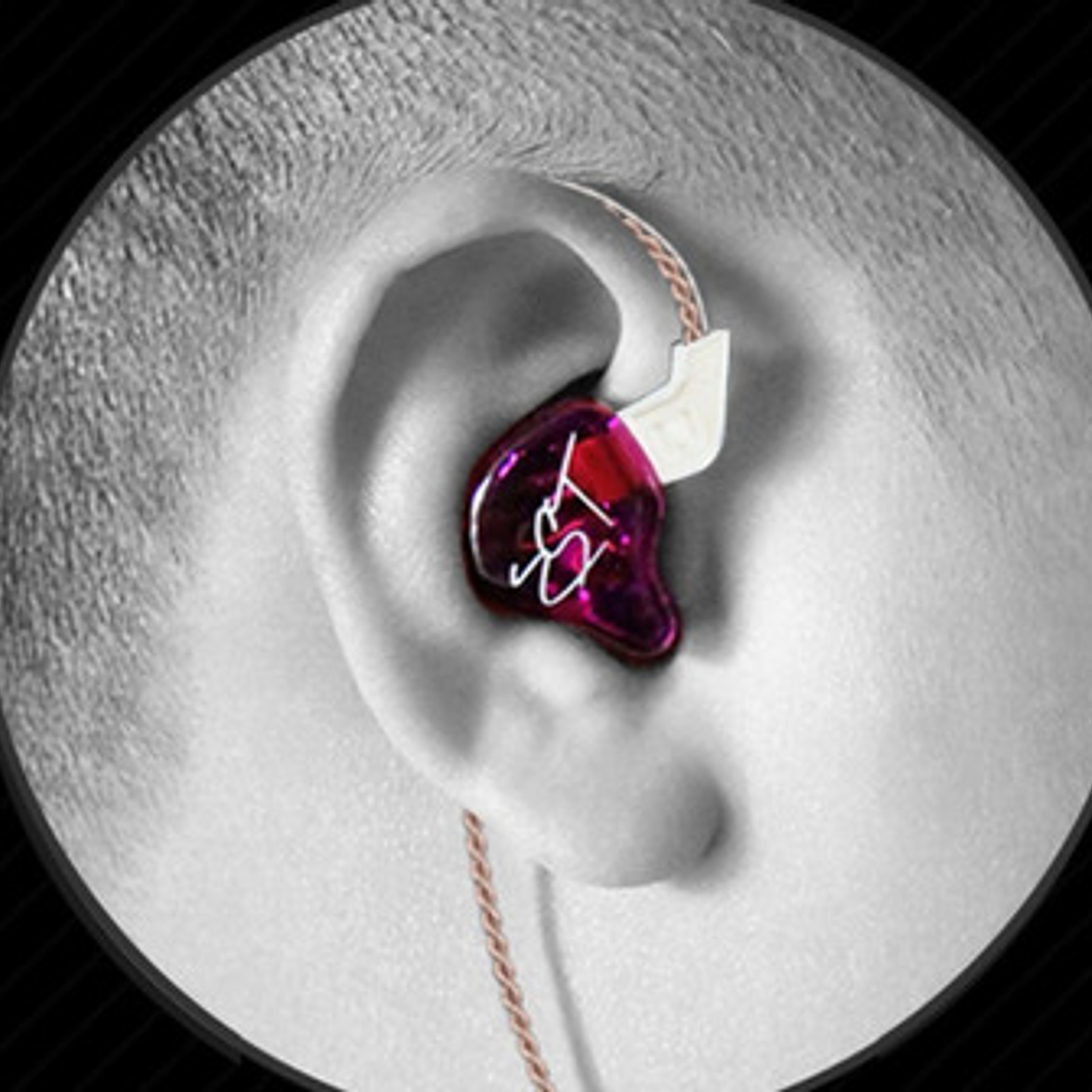 Audífonos In-ear Zst Endurance Run Impedance 10 Calidad Stgo 4