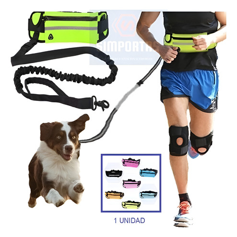 Cinturón Manos Libre Para Correr Perro Con Banano Calidad 2