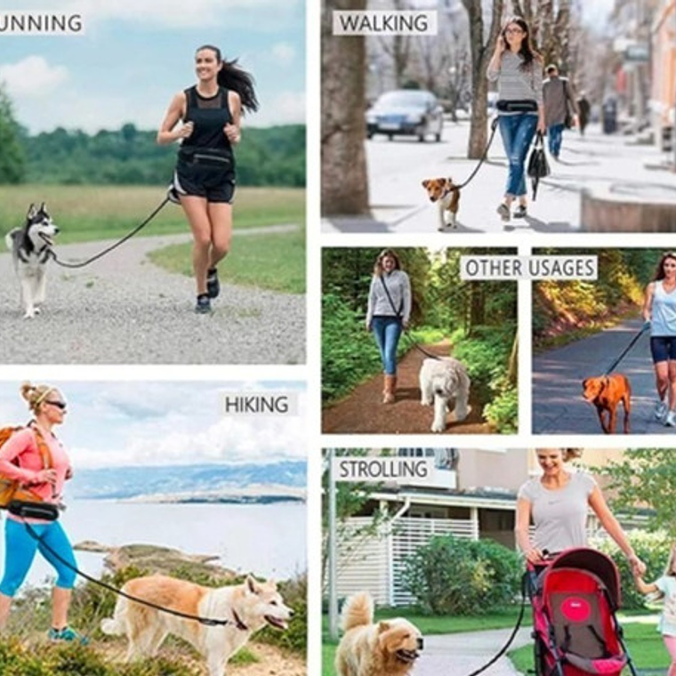 Cinturón Manos Libre Para Correr Perro Con Banano Calidad 5