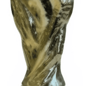 Copa Del Mundo 22cm Dorado Brillante Argentina Campeón