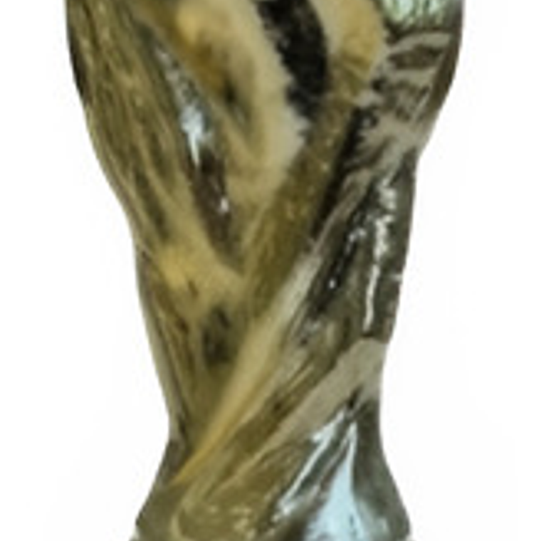 Copa Del Mundo 22cm Dorado Brillante Argentina Campeón 1