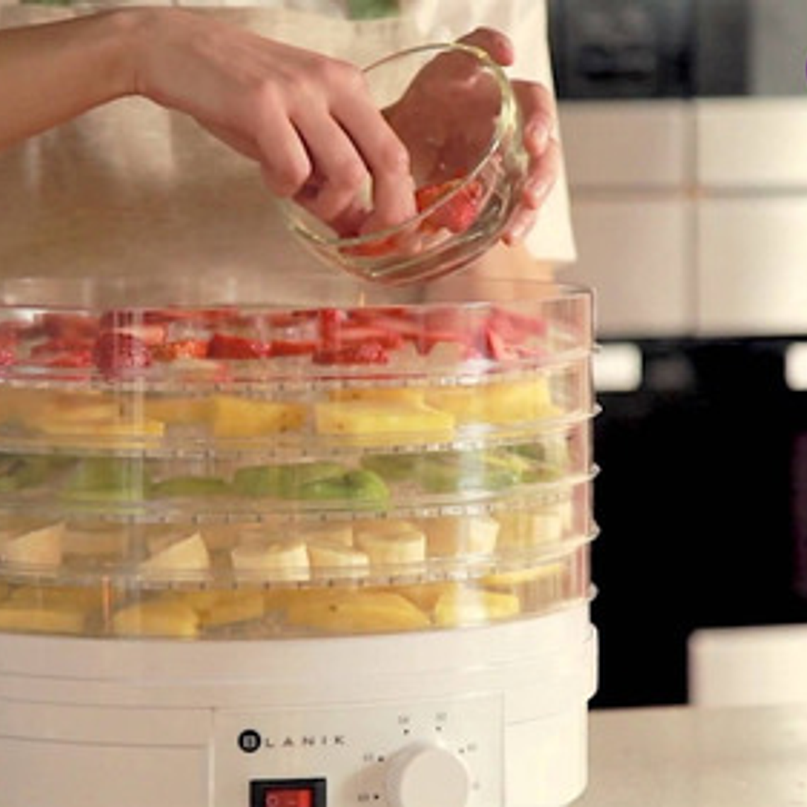 Deshidratador De Alimentos Blanik Frutas El Mejor Santiago 4