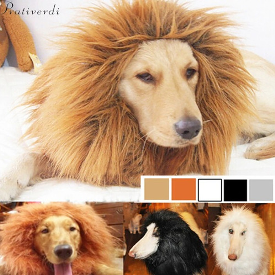 Peluca De León Para Perros Diversión Asegurada Santiago 4