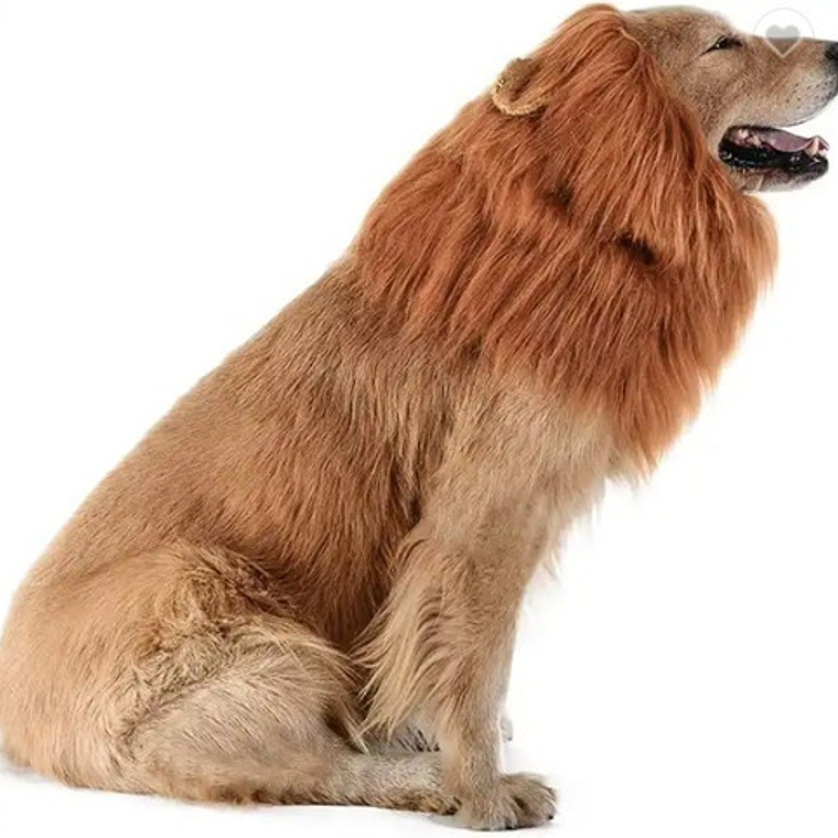 Peluca De León Para Perros Diversión Asegurada Santiago 25