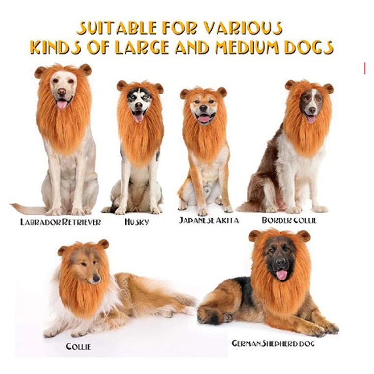 Peluca De León Para Perros Diversión Asegurada Santiago 36