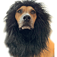 Peluca De León Para Perros Diversión Asegurada Santiago - Miniatura 39