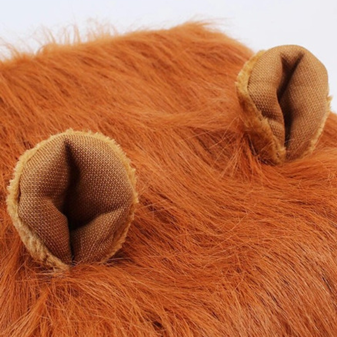 Peluca De León Para Perros Diversión Asegurada Santiago 45