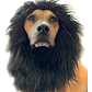 Peluca De León Para Perros Diversión Asegurada Santiago - Miniatura 49