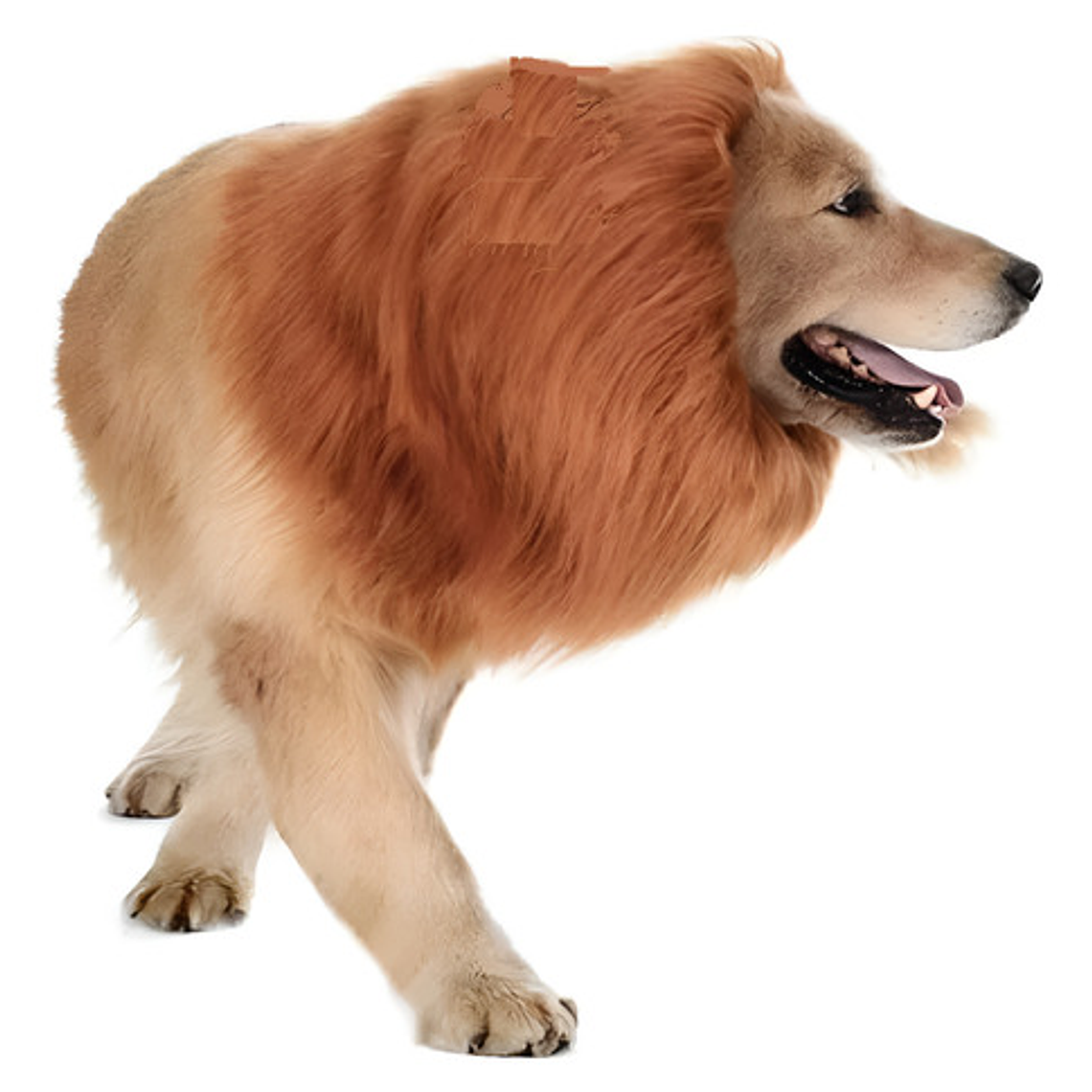 Peluca De León Para Perros Diversión Asegurada Santiago 63