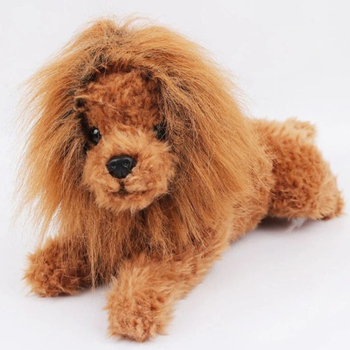 Peluca De León Para Perros Diversión Asegurada Santiago 66