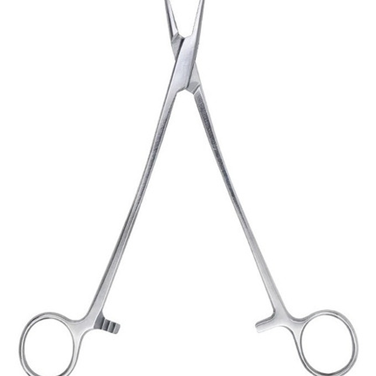 Porta Aguja Mayo Hegar Acero Diversas Medidas Santiago 11