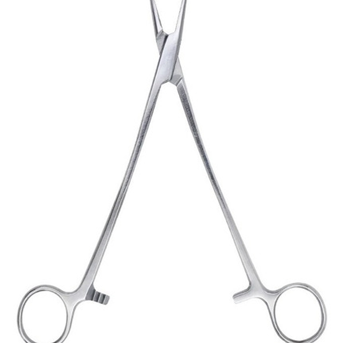 Porta Aguja Mayo Hegar Acero Diversas Medidas Santiago 19