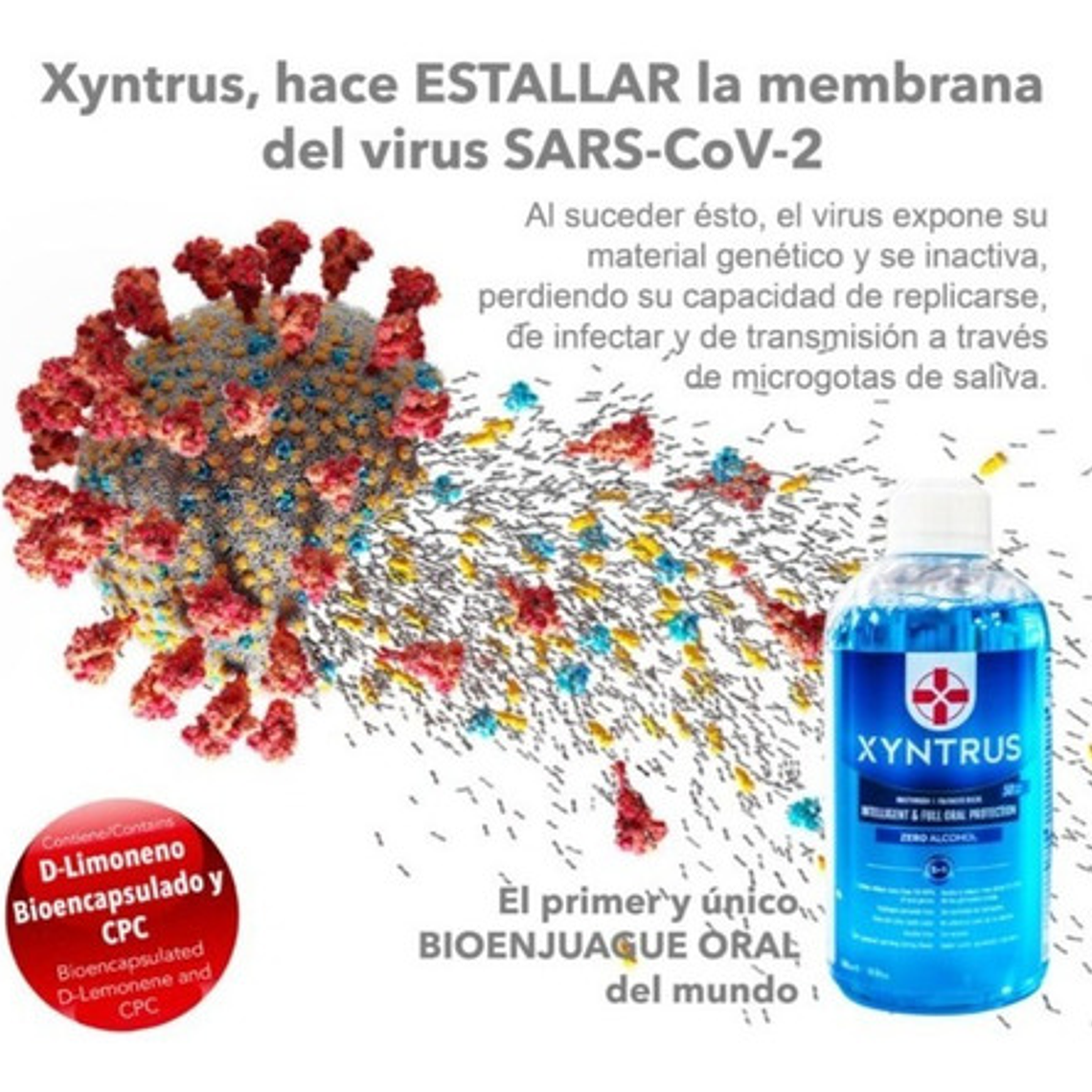   Bioenjuague Bucal Sin Alcohol Xyntrus Brix Covid Bacterias 2